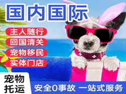 包头机场快递国际宠物托运 【国
